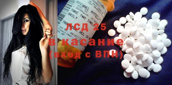 шишки Инсар