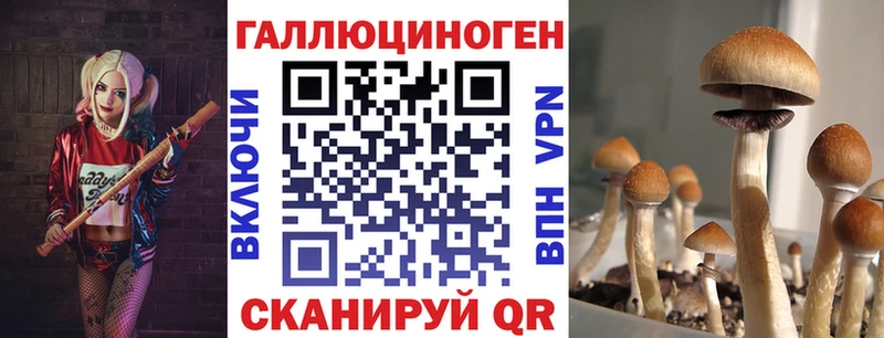 Купить закладки  Жуков  Псилоцибиновые грибы ЛСД 