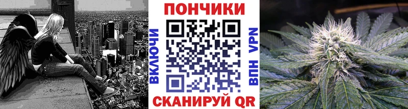 Купить закладки  Жуков  Шишки марихуана сатива 